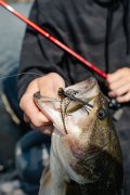 EVO™ Swim Jig