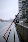 Trout Bonanza Classic 277cm