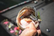 Octane MinnowZ™